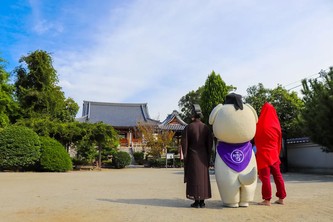 王寺町-達磨寺-240502.jpg