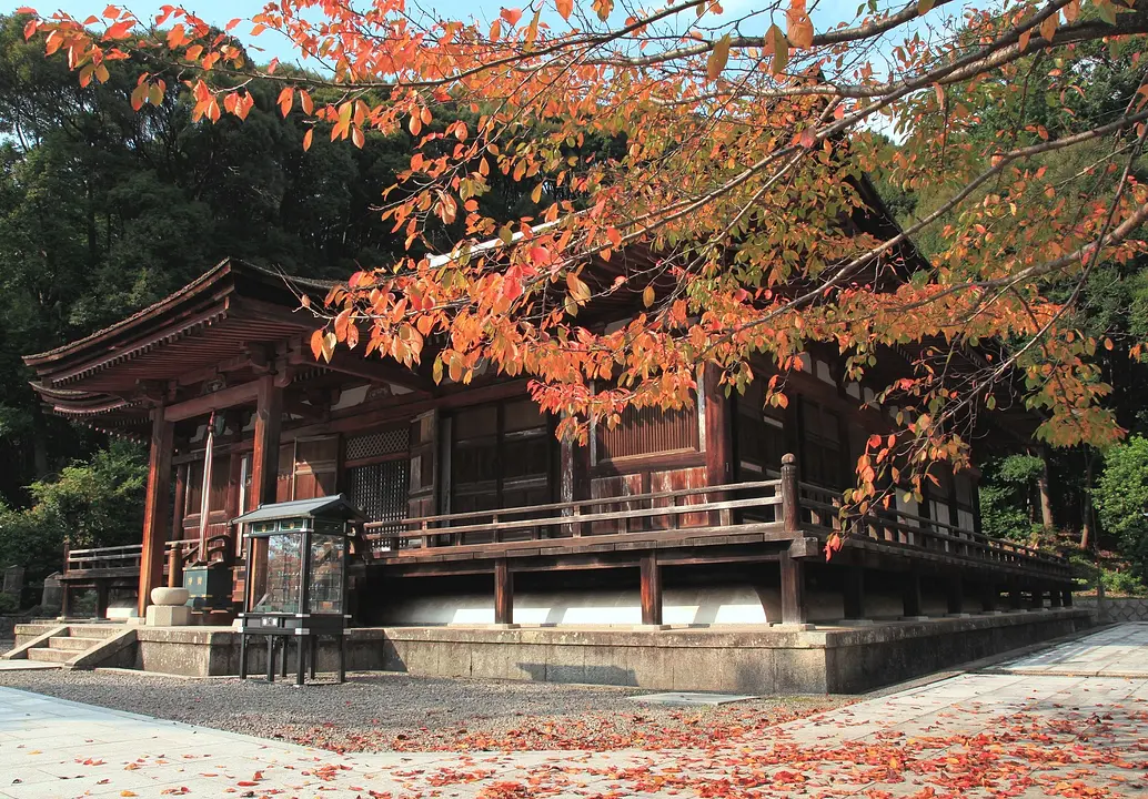 生駒市-長弓寺-240502.JPG