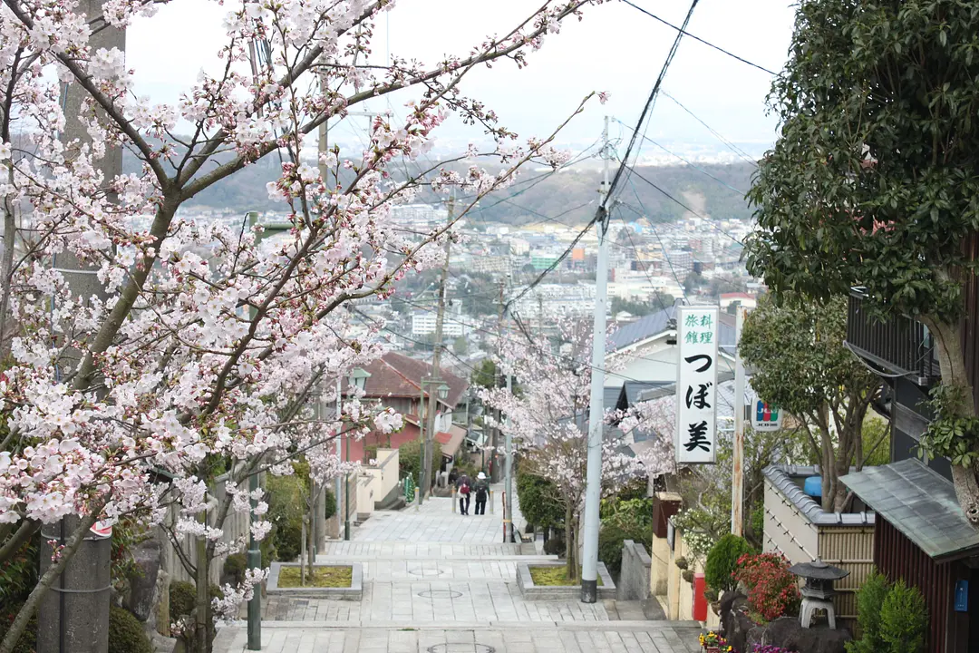 生駒市-宝山寺参道桜-240502.JPG