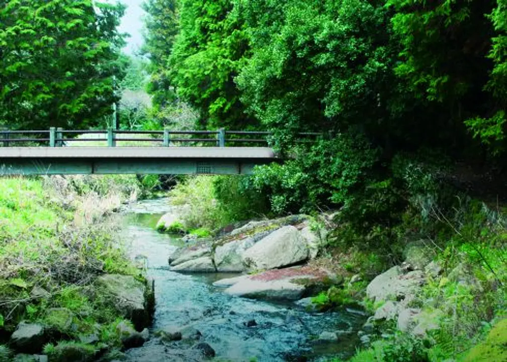 柳生街道|静寂、古道、体感の写真