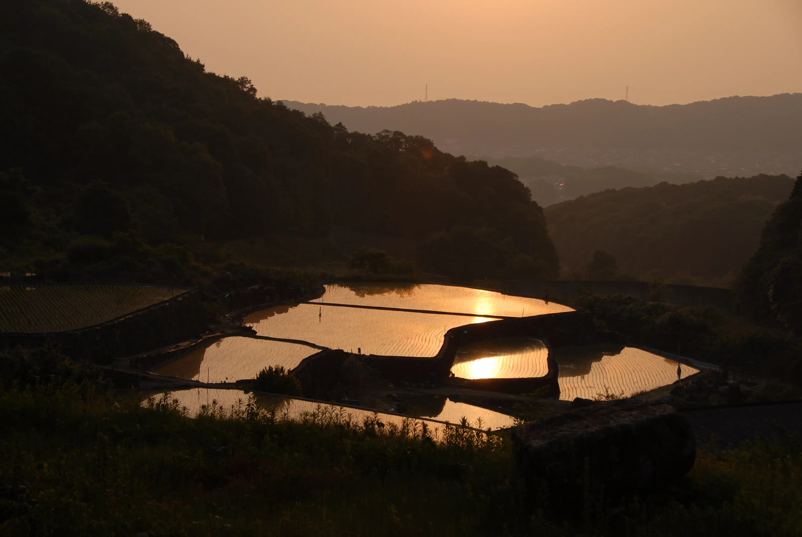 生駒市-棚田-240502.JPG