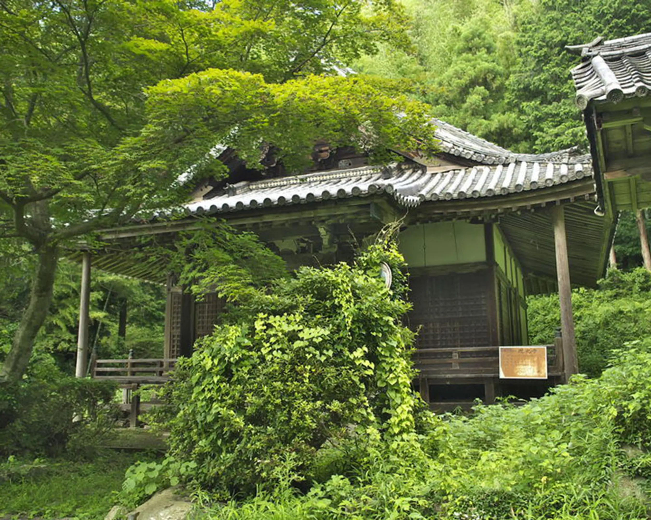 京都府南部_現光寺_240522.jpg