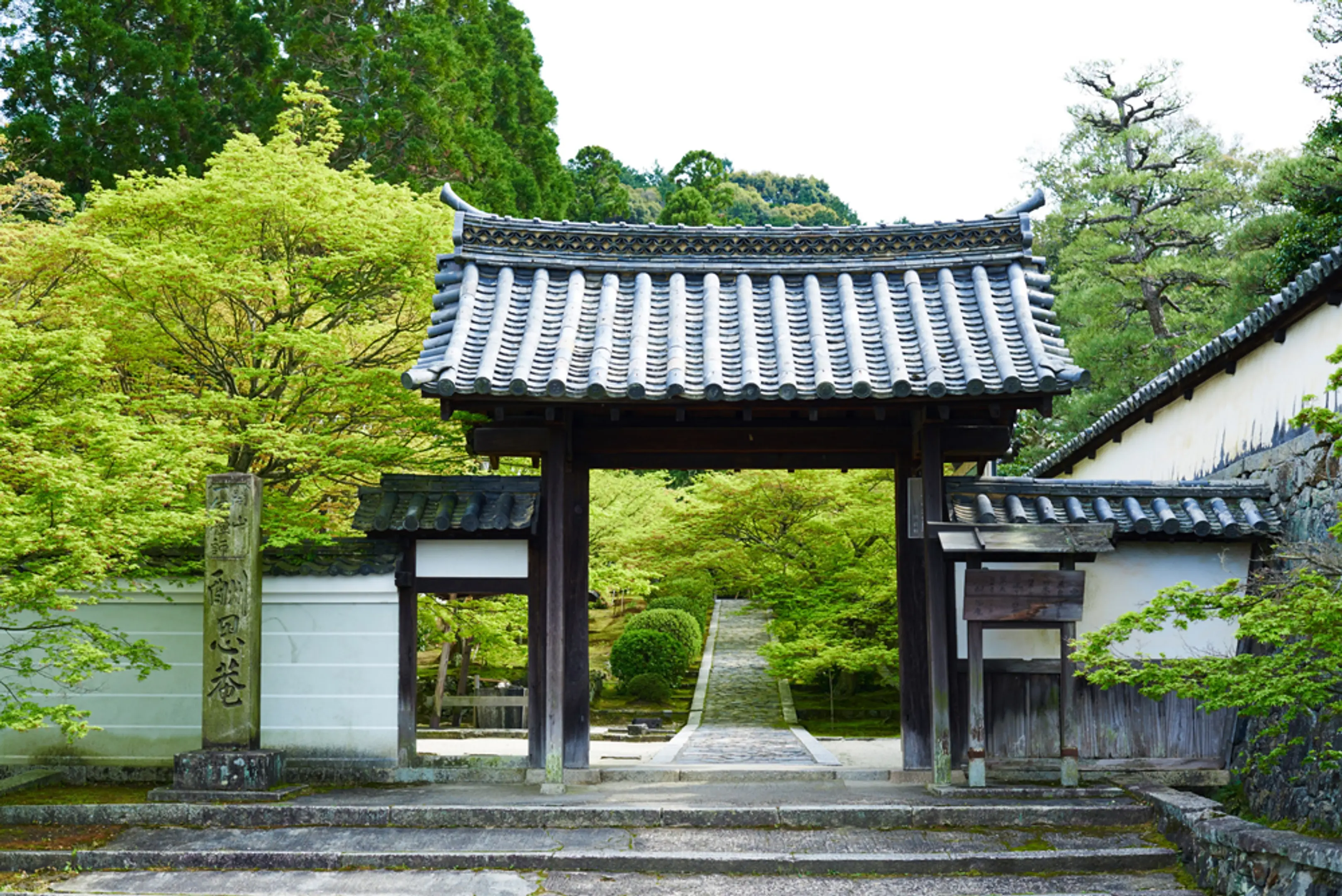 京都府南部_酬恩庵一休寺_240522.jpg