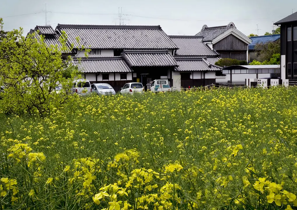 安堵町-安堵町歴史民俗資料館4-240502.jpg