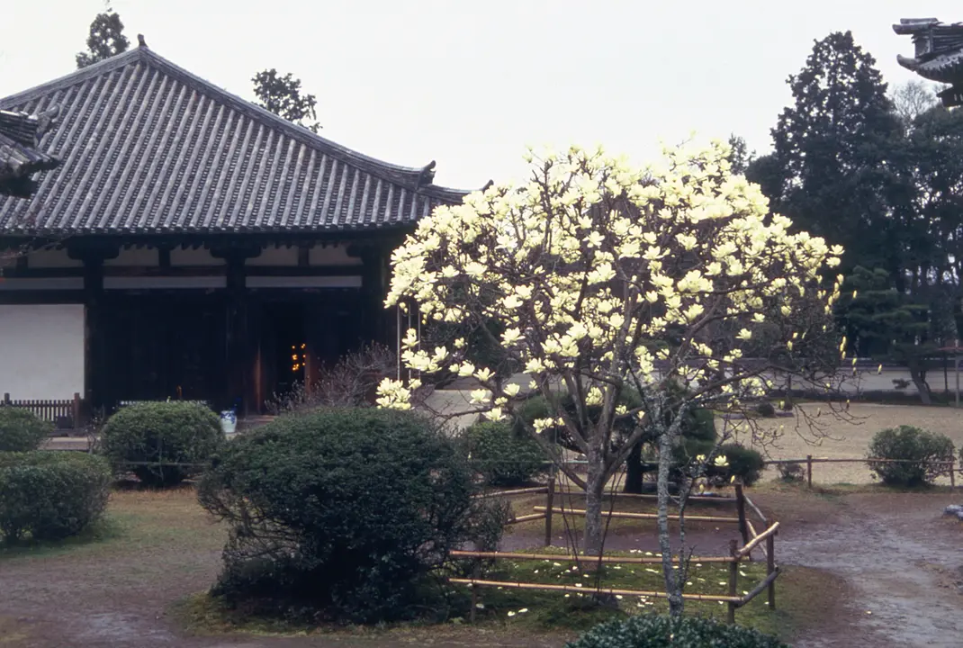 Akishino-dera Temple