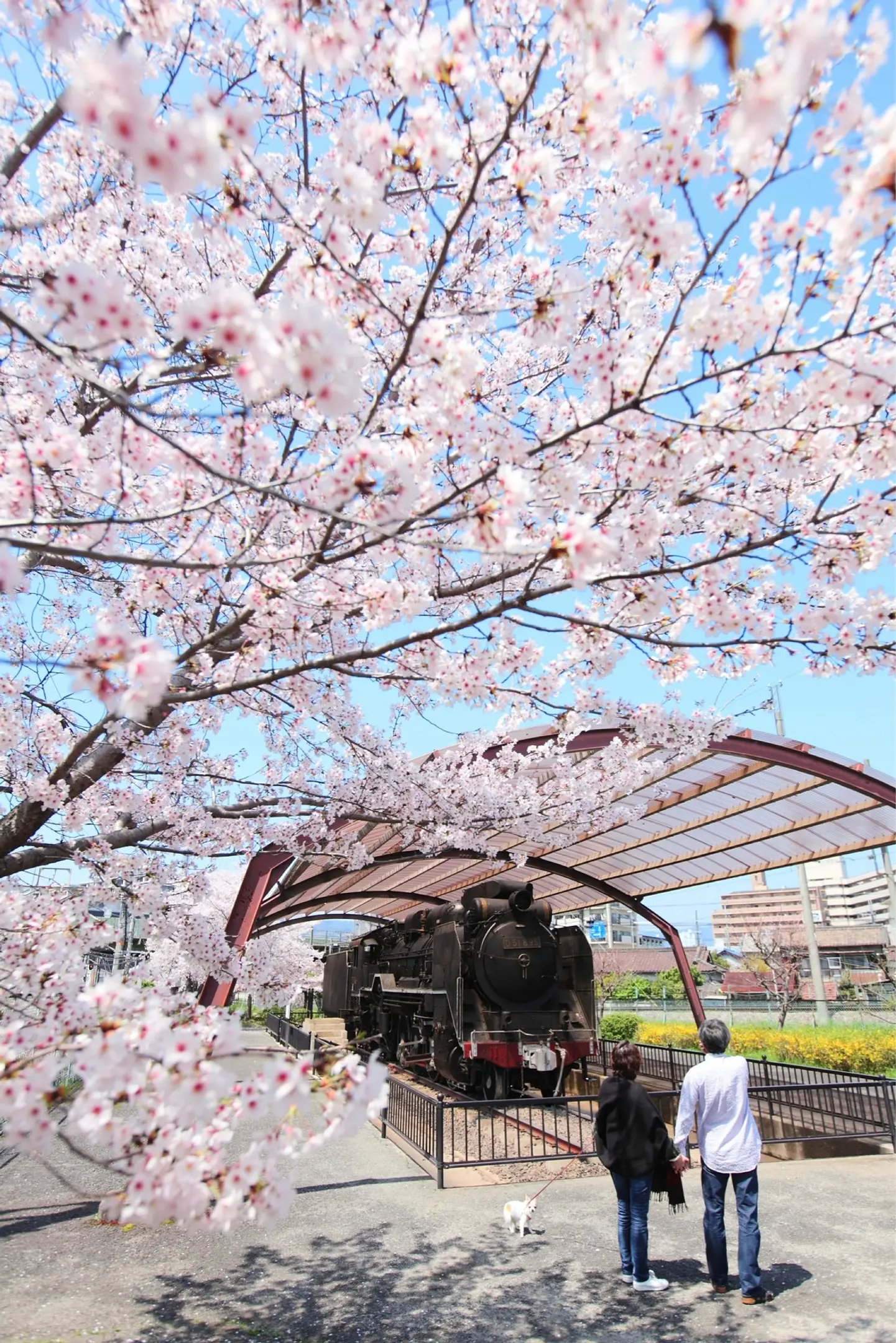 王寺町-鉄道のまち2-240502.jpg