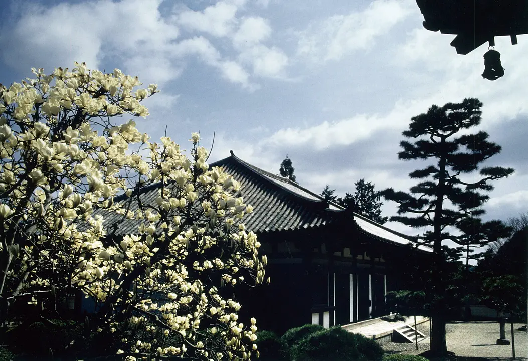 西大寺、秋篠寺から御陵の森  を訪ねて