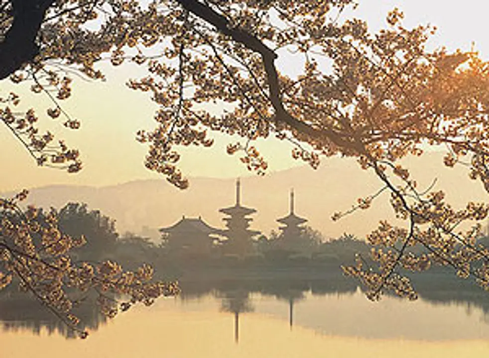 「西の京周辺エリア」の世界遺産を巡る 1Dayコース