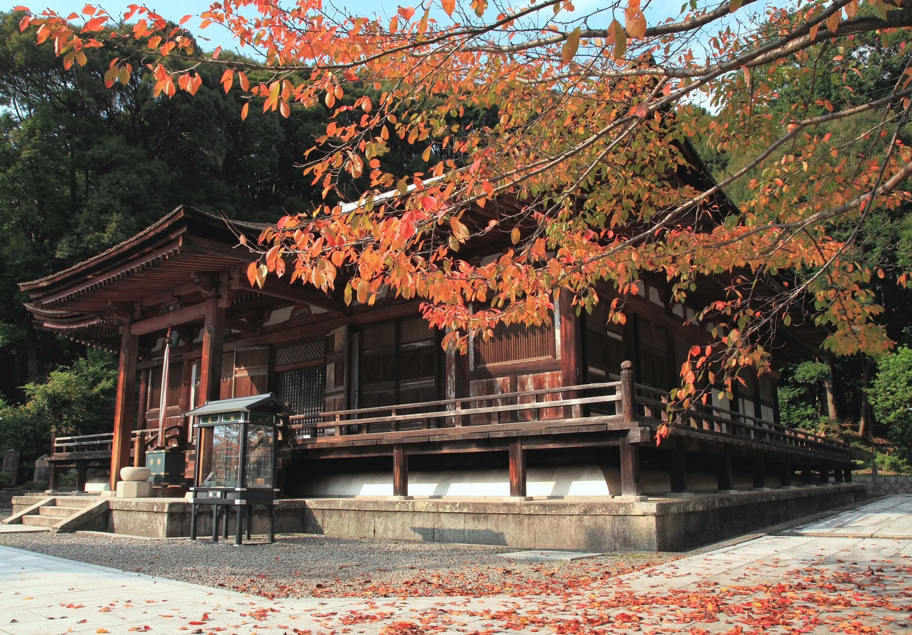 生駒市-長弓寺-240502.JPG