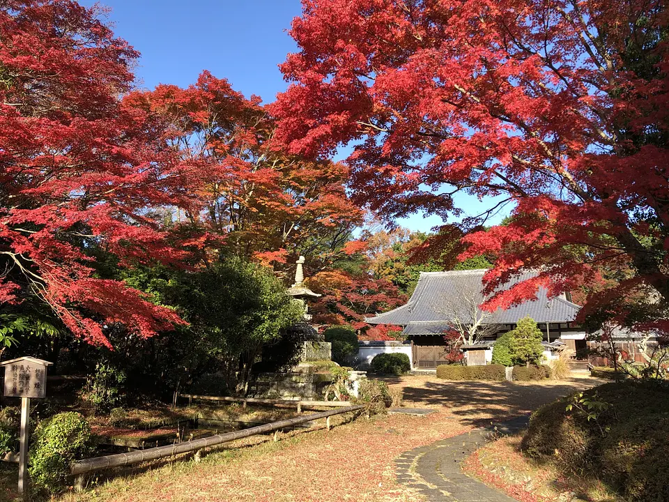 芳徳寺1-240516.jpg