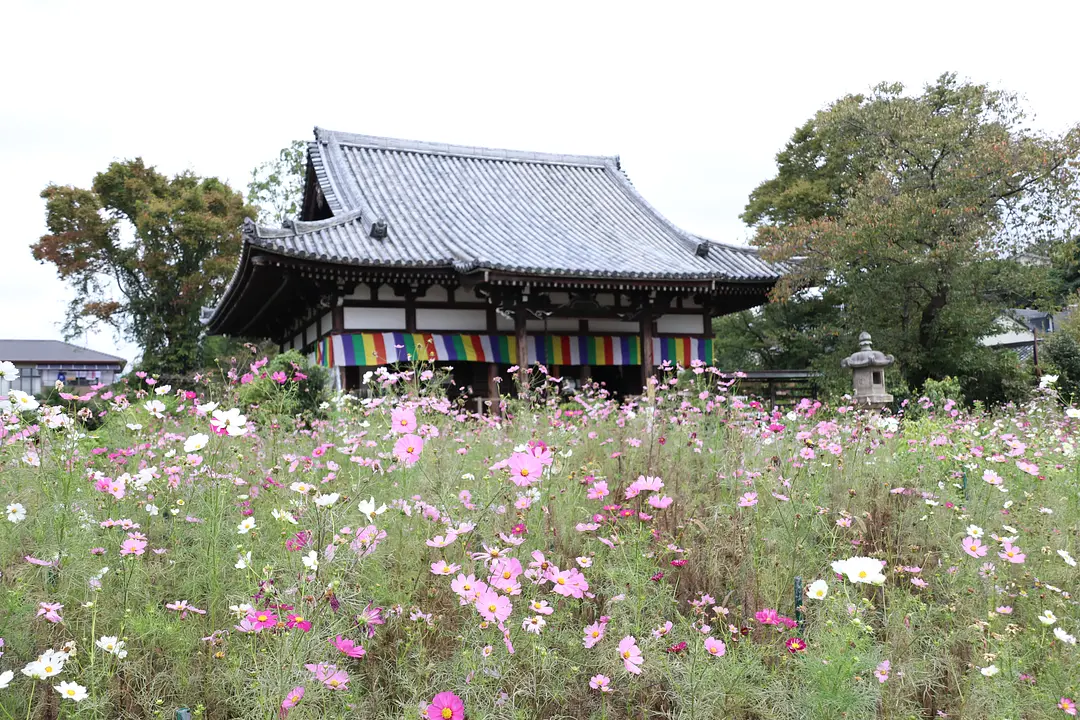 Hannya-ji Temple