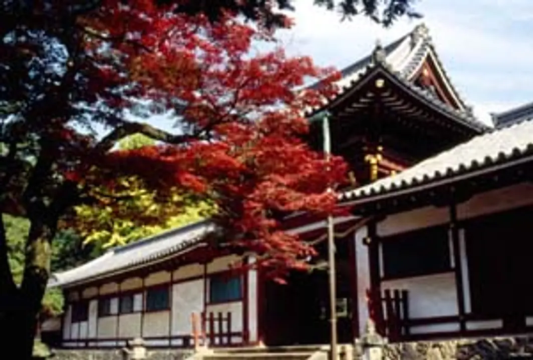Tamukeyama Hachimangu Shrine